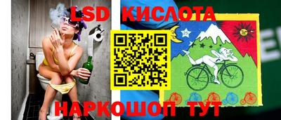 стафф Обь
