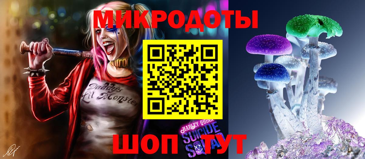 Псилоцибиновые грибы Cubensis Семёнов