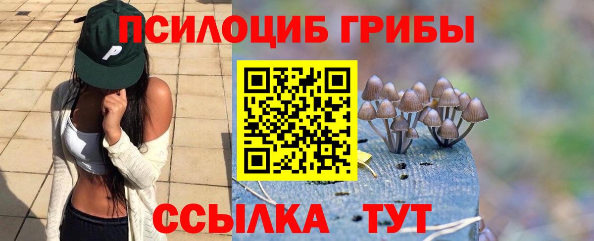 Галлюциногенные грибы ЛСД  Вход с VPN  Галлюциногенные грибы Psilocybine cubensis  Семёнов 